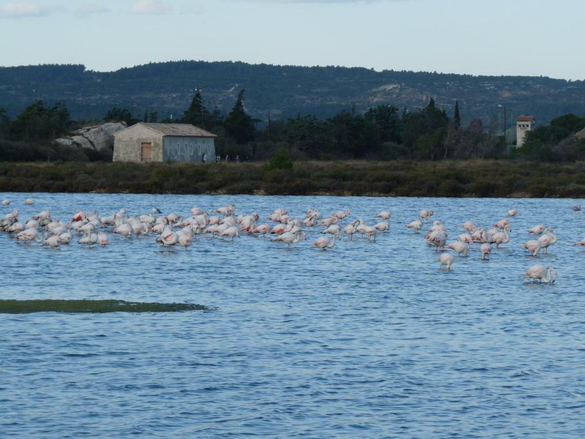 Appartement De La Callade Peyriac-de-Mer Dış mekan fotoğraf